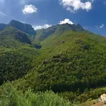 Διαμέρισμα Caprice Flat Sleeps 4 With Garden Colletta